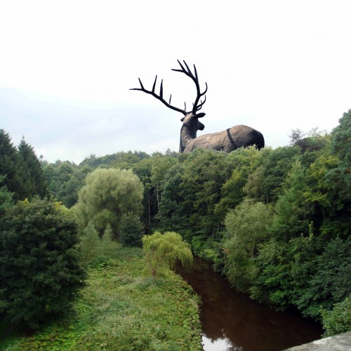 Giant Stag ... proposal for Dalkeith Park